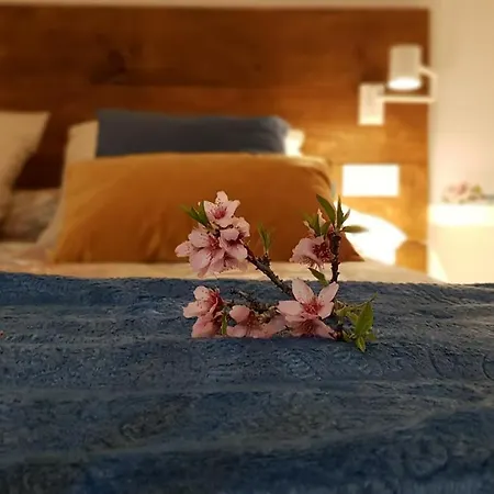 Apartment Rural Alfawara Alfafara