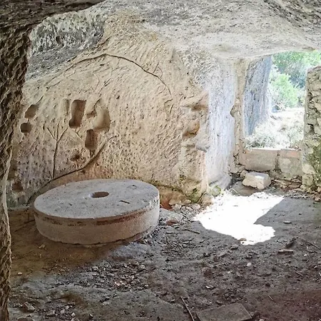 Rural Alfawara * Alfafara