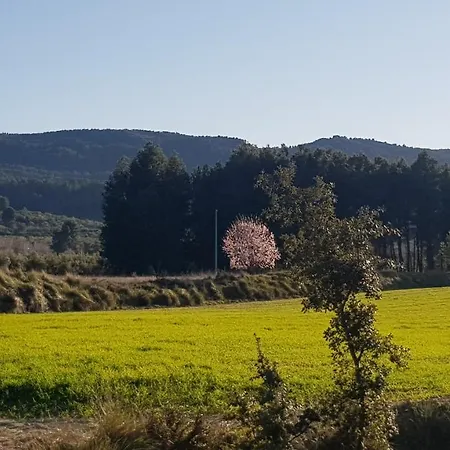 Lejlighed Rural Alfawara